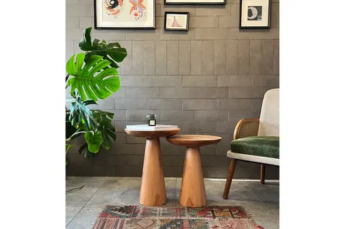 Zigon Mantar Sehpa Mushroom, İkili, Kayın