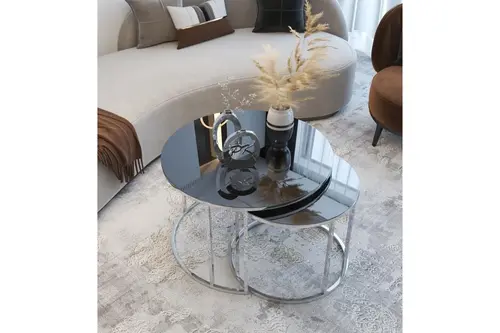Tubihome Yavrulu Orta Sehpa, Gümüş Ayak, Siyah Cam