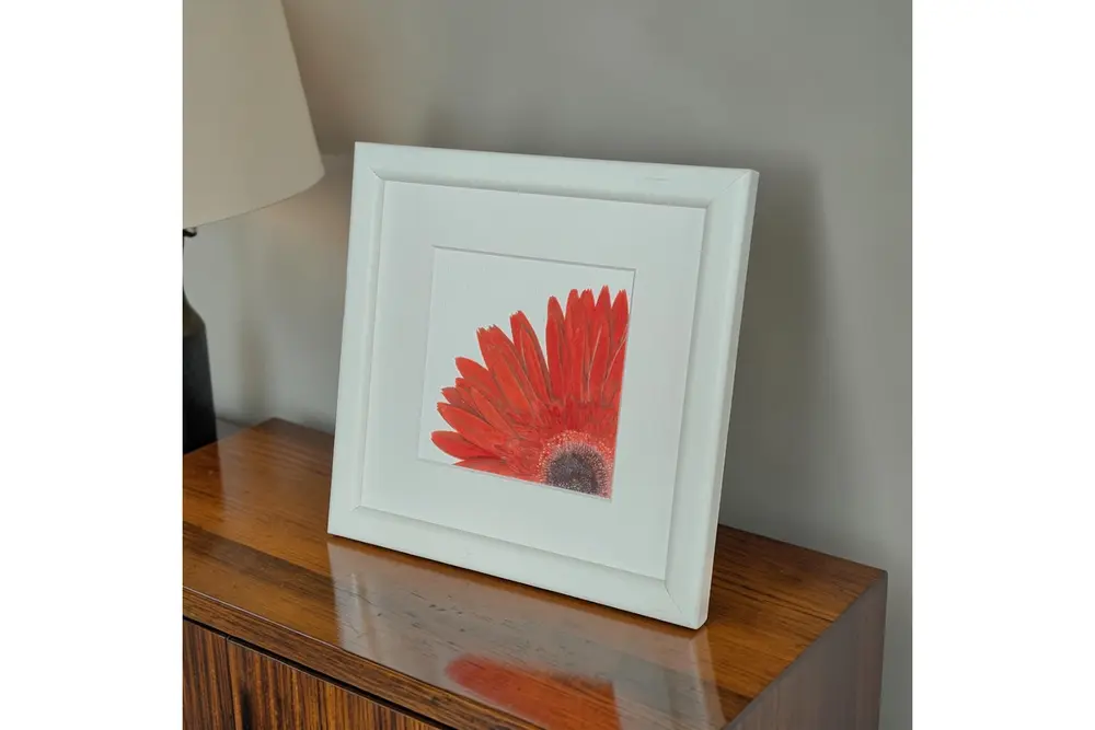 Gerbera Suluboya Fine Art Baskı