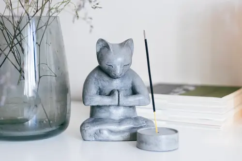 Beton Meditasyon Kedi Tütsülük