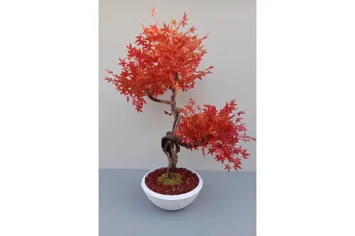 Flora Yapay Çınar Ağacı