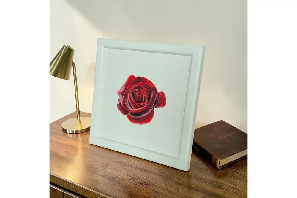 Gül Suluboya Fine Art Baskı