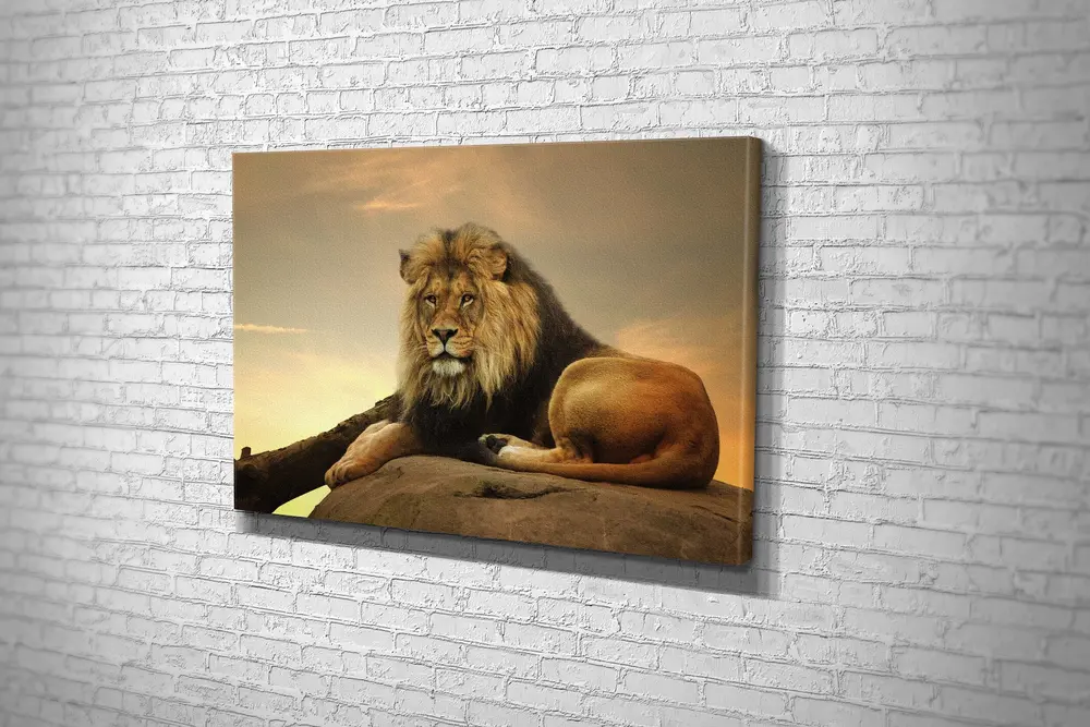 Tablo360 Aslan Kanvas Tablo 50X75