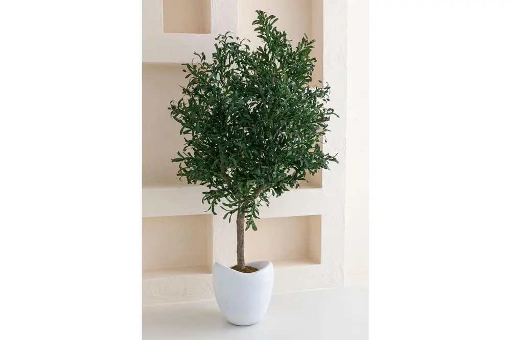 Flora Yapay Zeytin Ağacı, Fiber Saksı, 80 Dal, 200 Cm