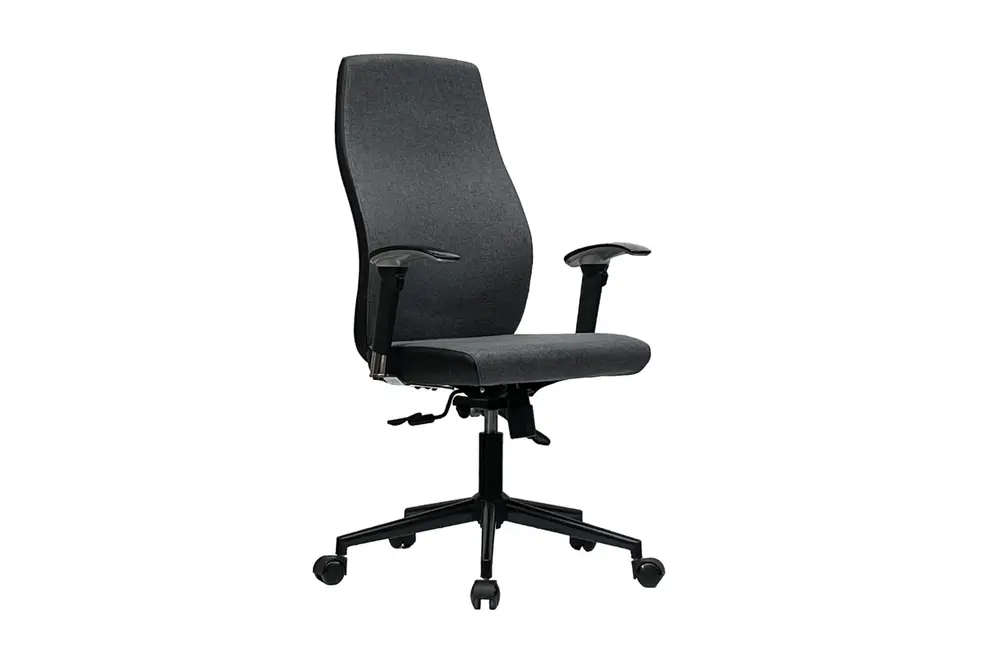 Sancak Ofis Surf Çalışma Koltuğu , Siyah Antrasit
