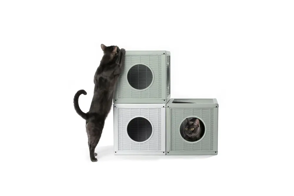 Qublo Kedi Köpek Evi
