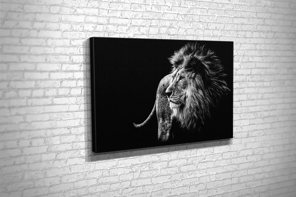 Tablo360 Aslan Kanvas Tablo, 50X75