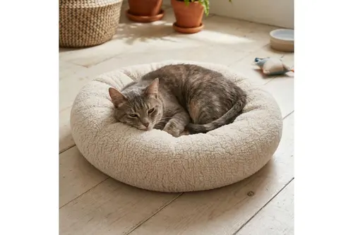 Teddy Donut Köpek Yatağı, Krem, S Beden, 52X52X14 Cm