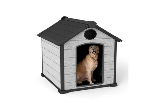 Kedi Köpek Kulübesi