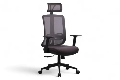 Sancak Ofis Minotti Yönetici Koltuğu, Gri