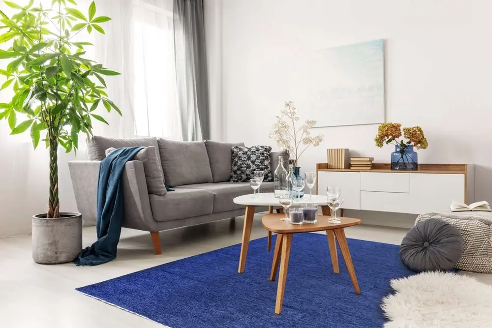Moretti Plain Halı 11500-J 125X180