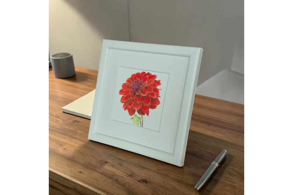 Yıldız Çiçeği Suluboya Fine Art Baskı
