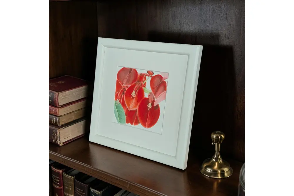 Mercan Ağacı Suluboya Fine Art Baskı
