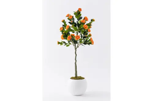 Flora Yapay Gül Ağacı, Turuncu, 24 Dal, 160 Cm