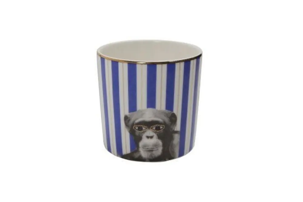 Porland Wild Life Monkey Bardak 230 Cc