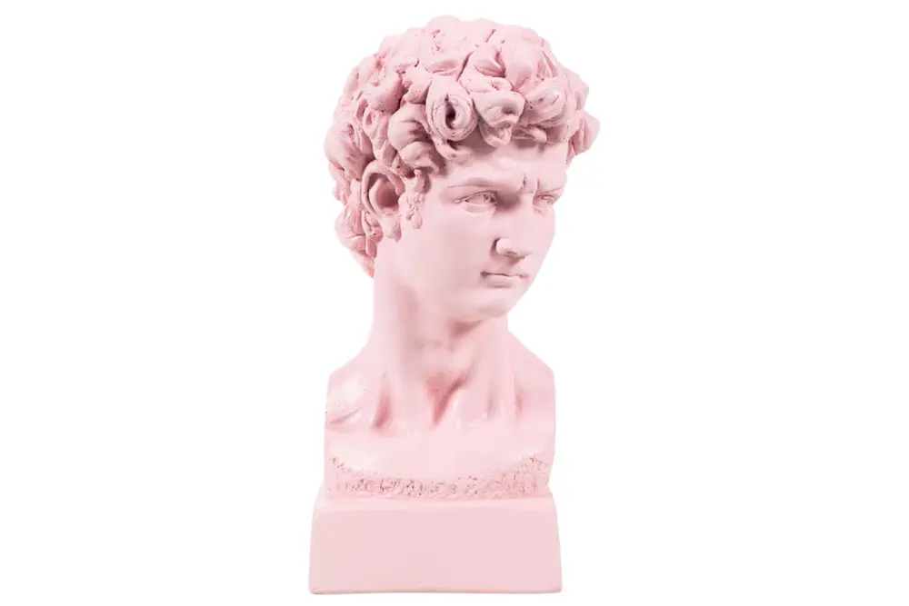 David Büst Pembe