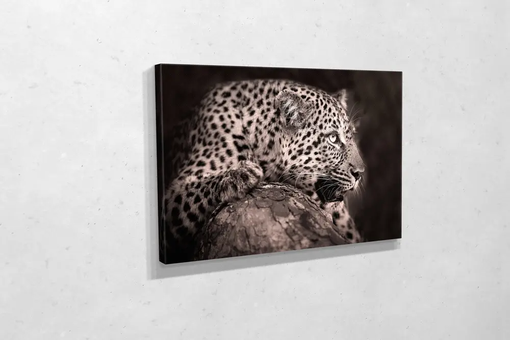Tablo360 Leopar Kanvas Tablo 50X75